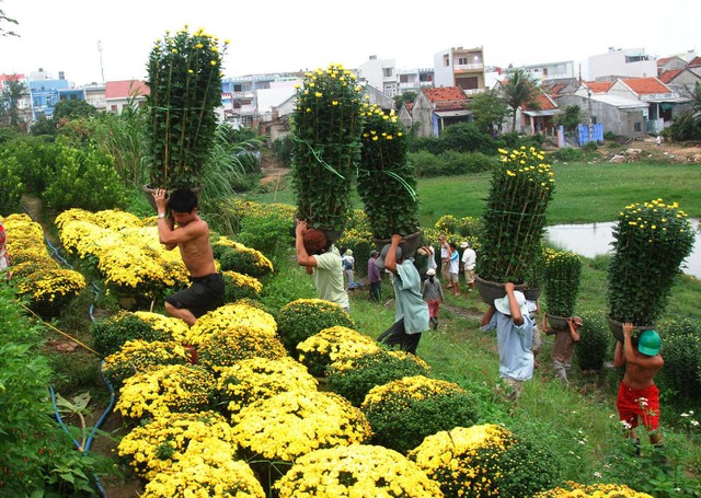 Giao lưu trực tuyến với lãnh đạo UBND tỉnh Phú Yên: Cơ hội đầu tư vào Phú Yên ảnh 62